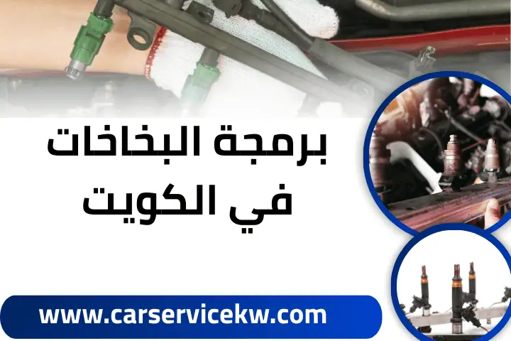 فني برمجة بخاخات