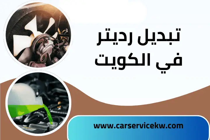فني تبديل رديتر