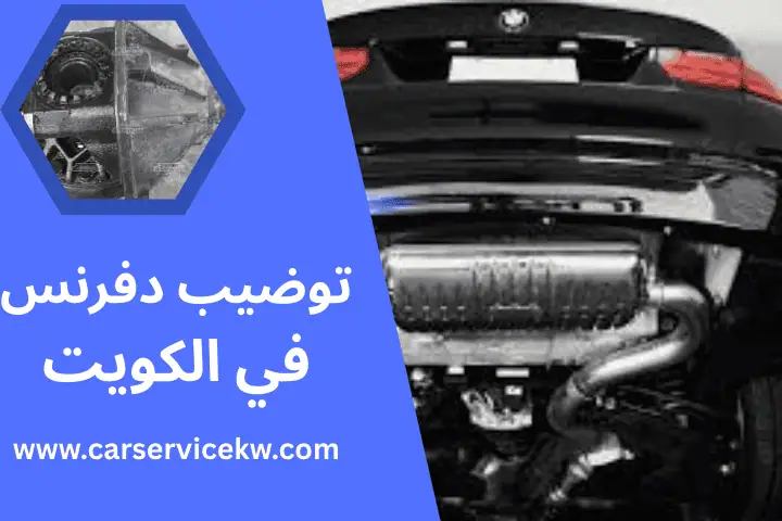 شركة توضيب دفرنس